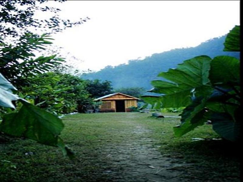 Elephant Brook Resort Rishikesh Exterior photo